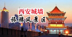 日屄屄中国陕西-西安城墙旅游风景区