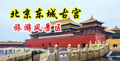 黄色三级白虎操操网站中国北京-东城古宫旅游风景区